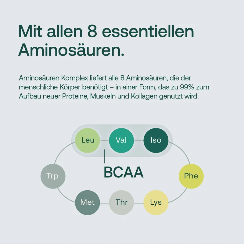 Aminosäuren Komplex