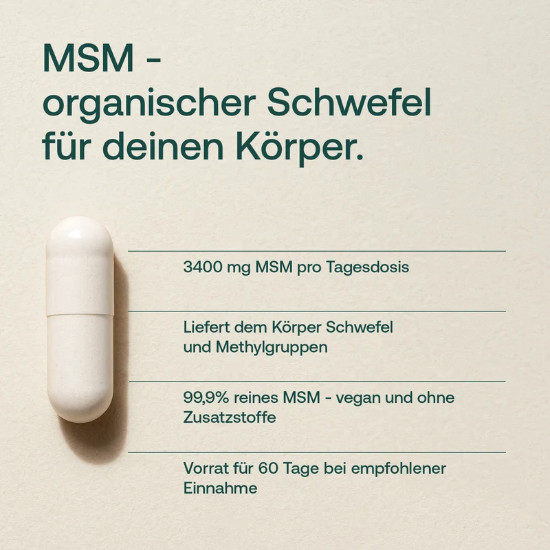 MSM-Kapseln