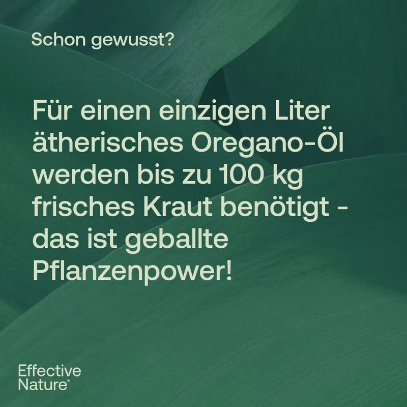 Bio-Oreganoöl