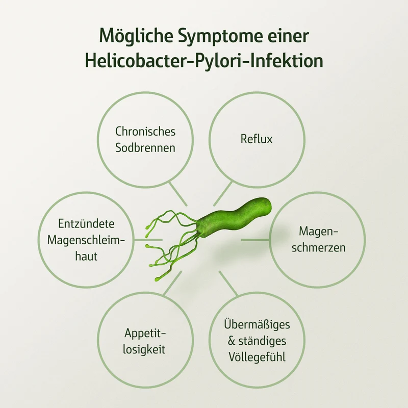 Combi Flora Antipylori mit Pylopass™