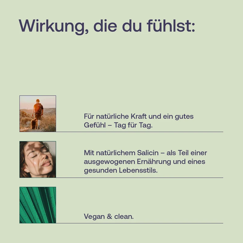 Weidenrinde