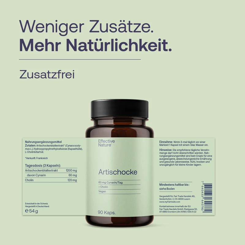 Artischockenextrakt mit Cholin