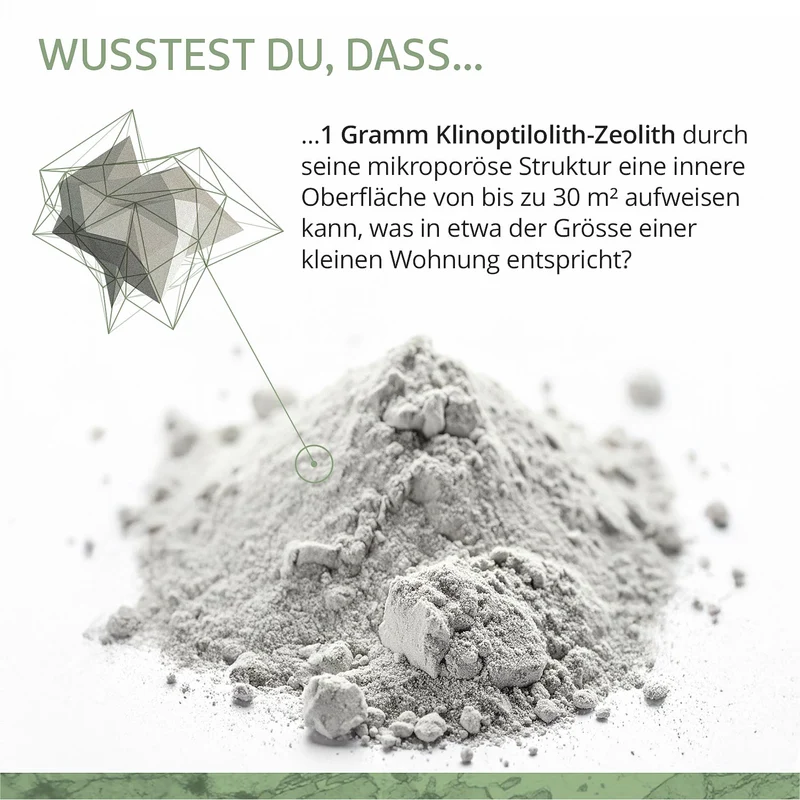 Zeolith Natural Detox Pulver