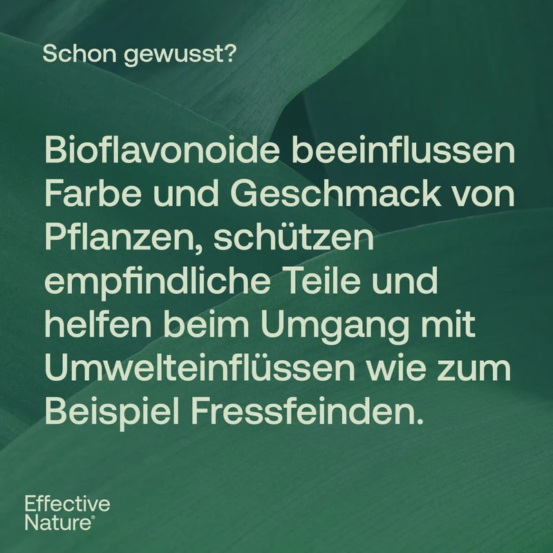 Bio Grapefruitkernextrakt