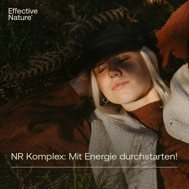 NR Komplex