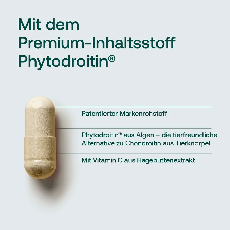 Glucosamin Komplex Kapseln
