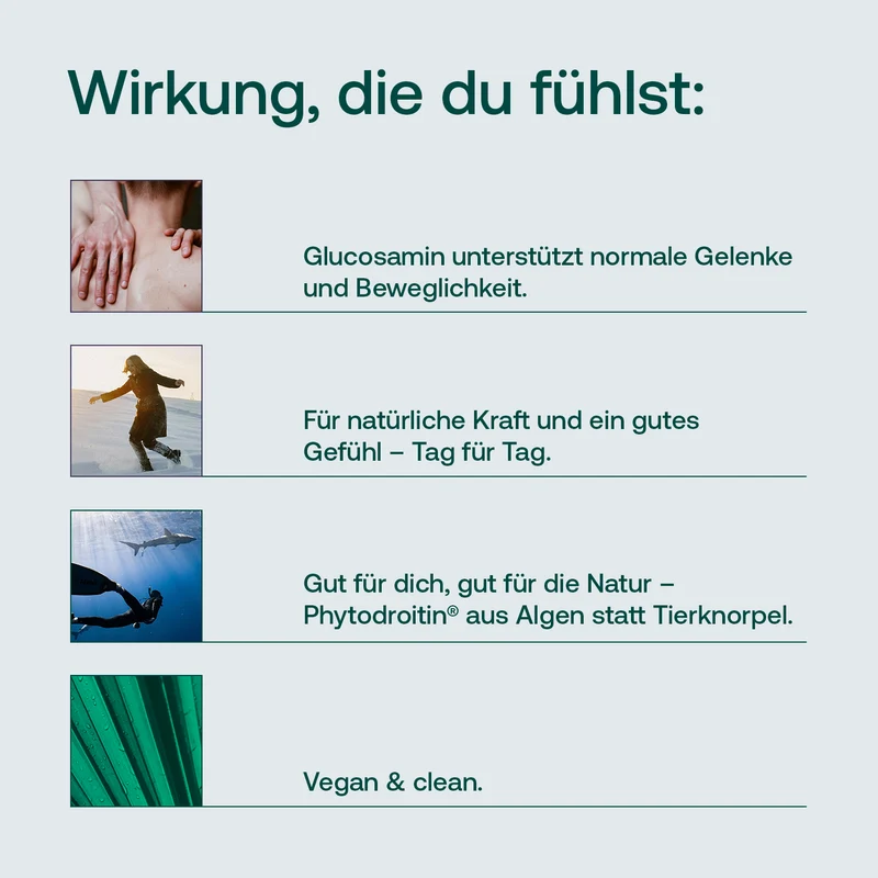 Glucosamin Komplex Kapseln
