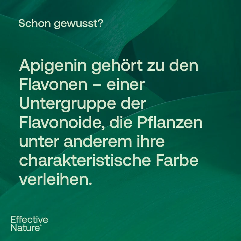 Apigenin