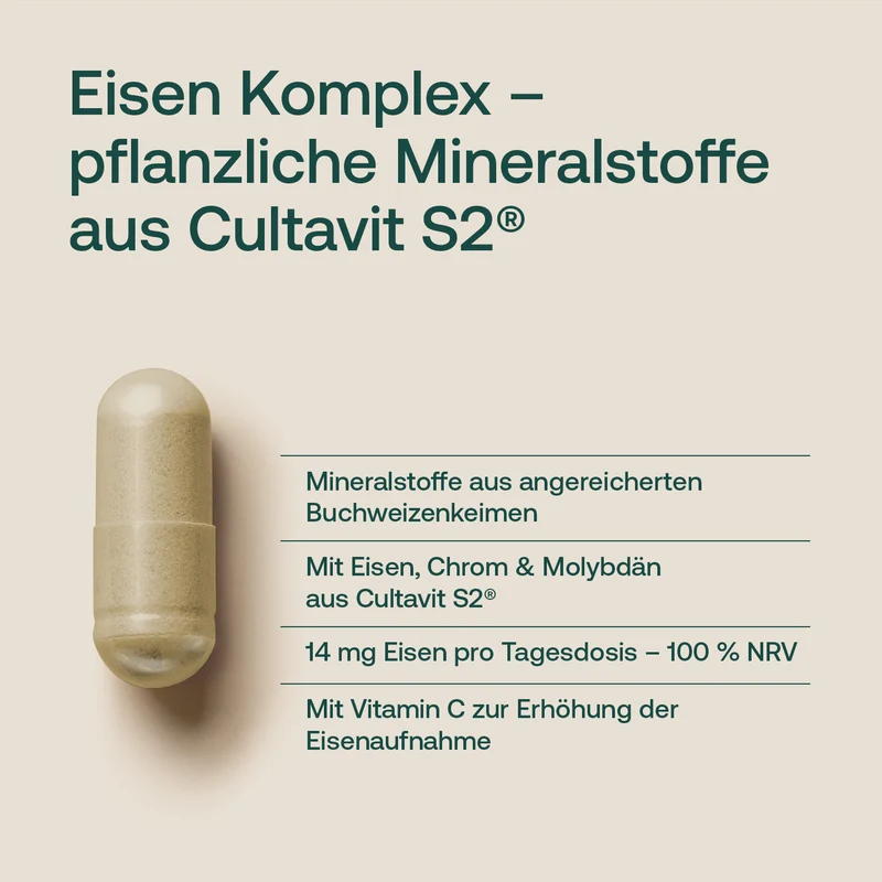Eisen Komplex aus Buchweizen