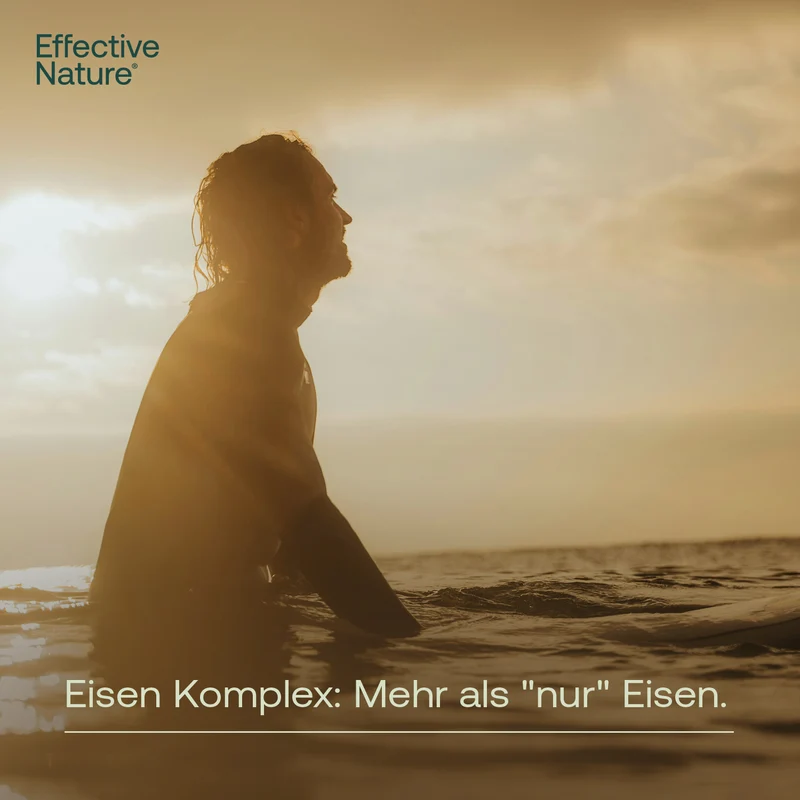Eisen Komplex aus Buchweizen