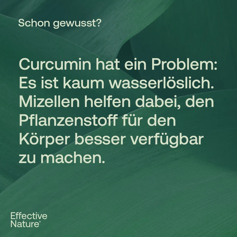 Kurkuma Kapseln hochdosiert