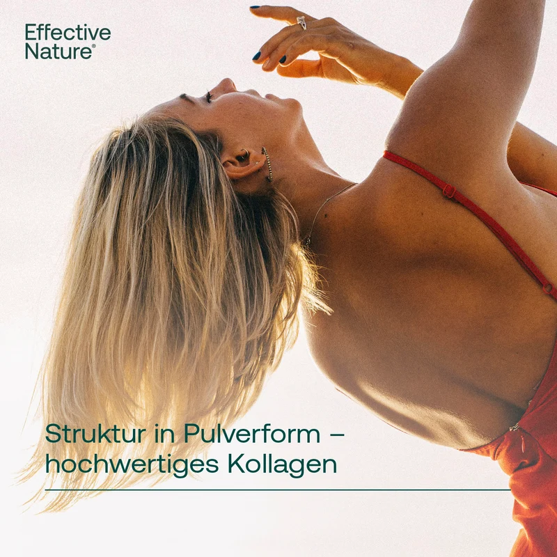 Kollagen Pulver