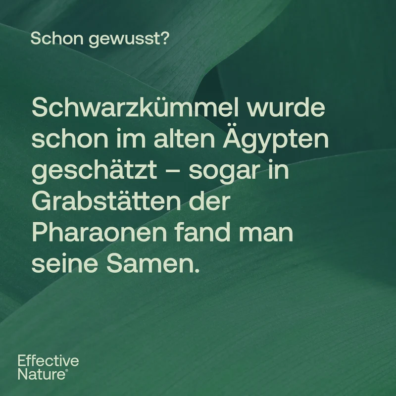 Schwarzkümmelöl