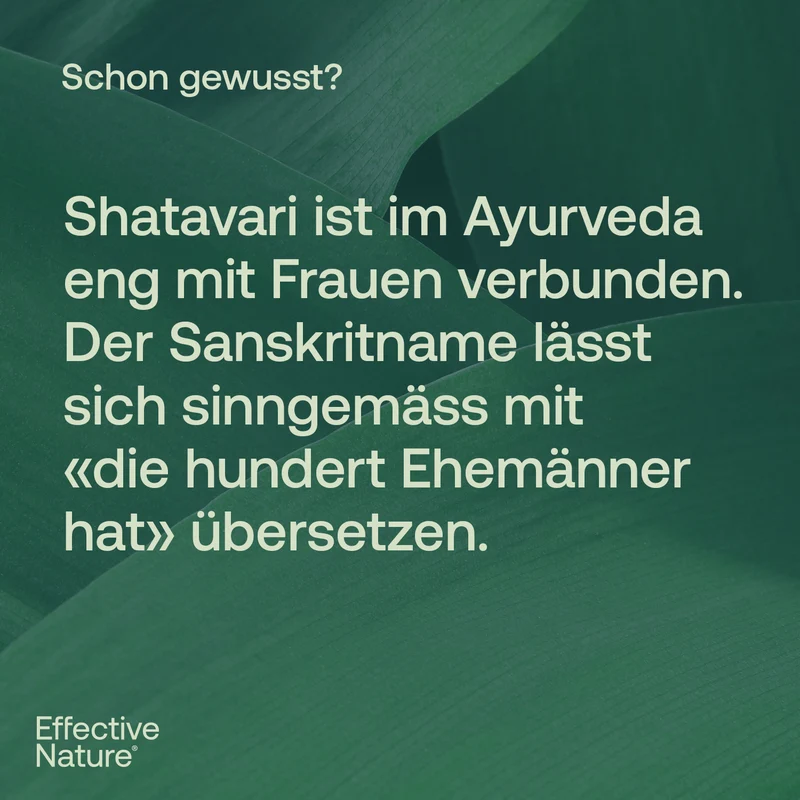 Bio Shatavari SRI-81™