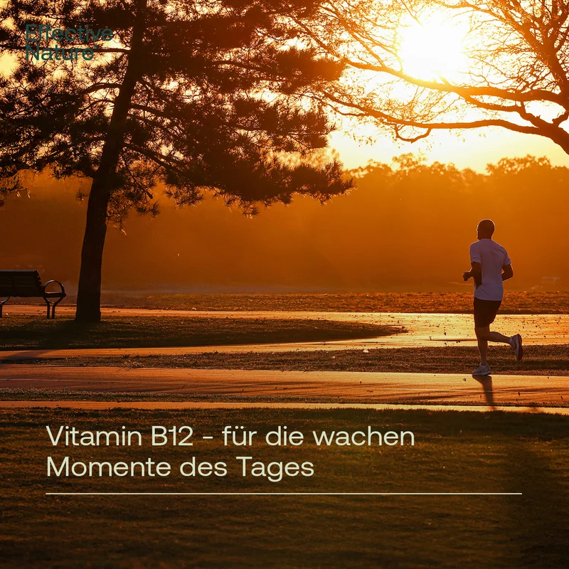 Vitamin B12 Komplex