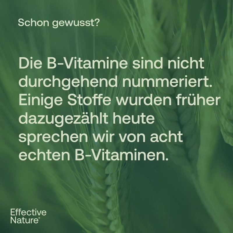 Vitamin B Komplex