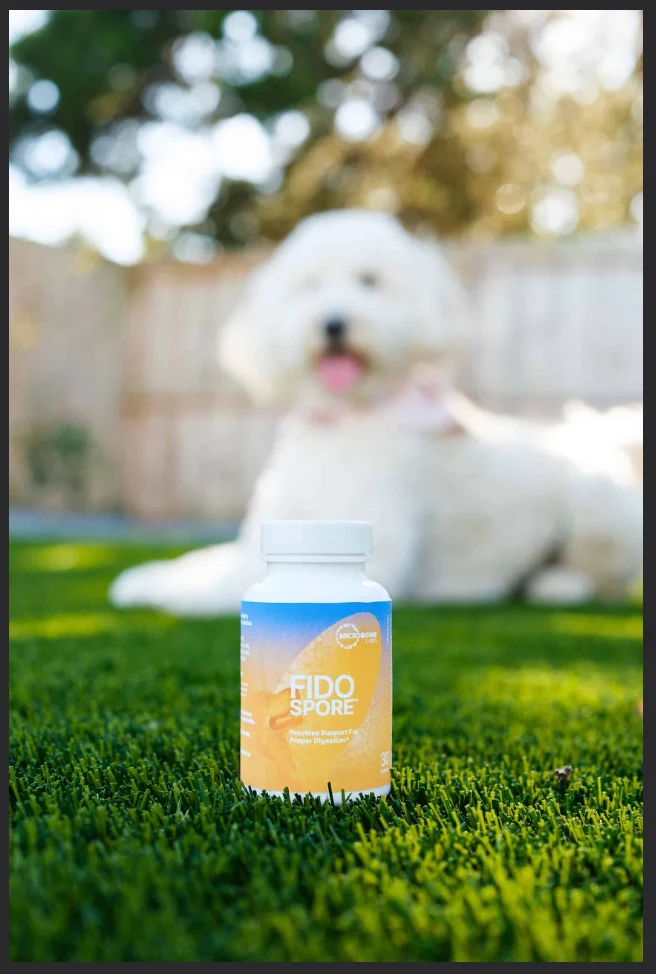 Fidospore