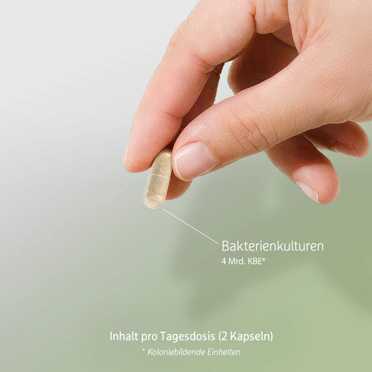Simple Clean Darmkur Kapseln - 12 Wochen