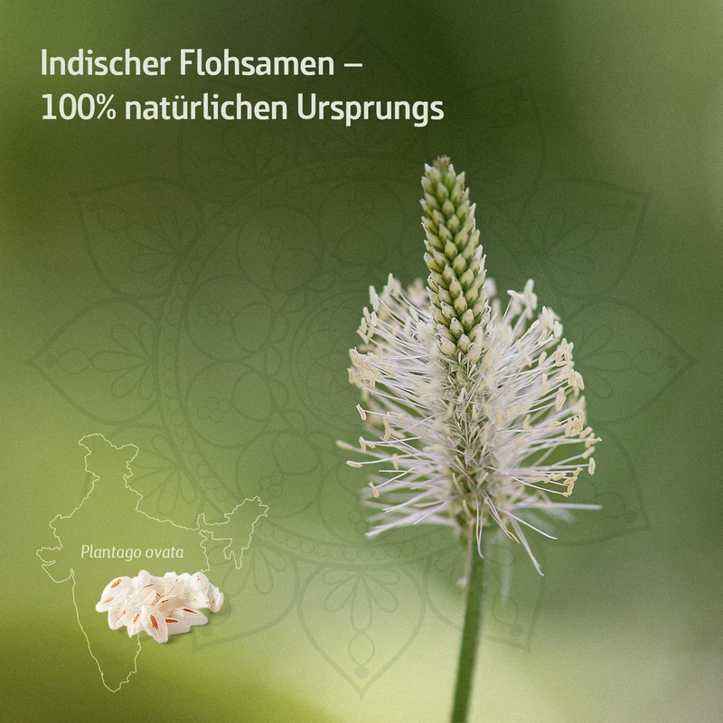 Combi Flora Flohsamenschalen-Kapseln