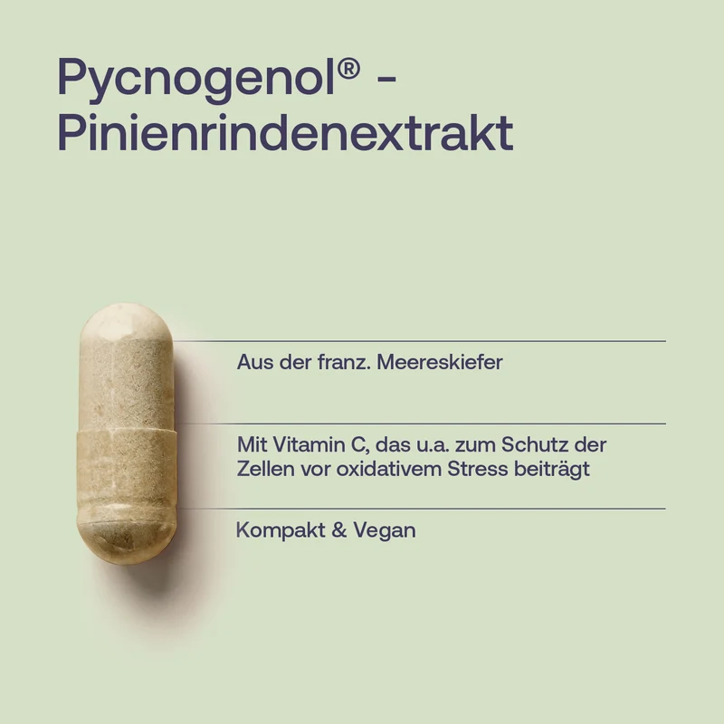 Pycnogenol® - Pinienrindenextrakt