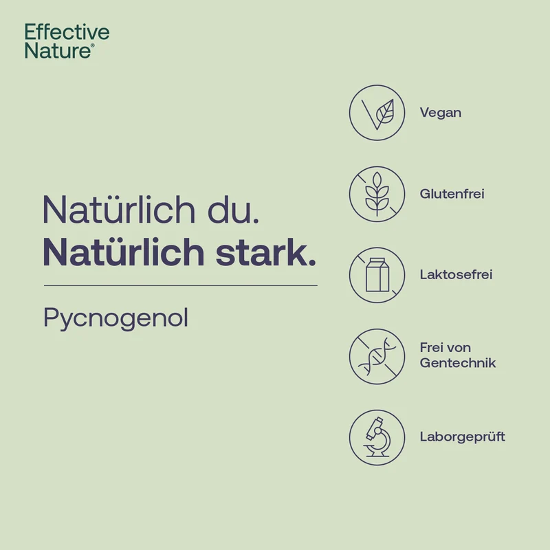 Pycnogenol® - Pinienrindenextrakt