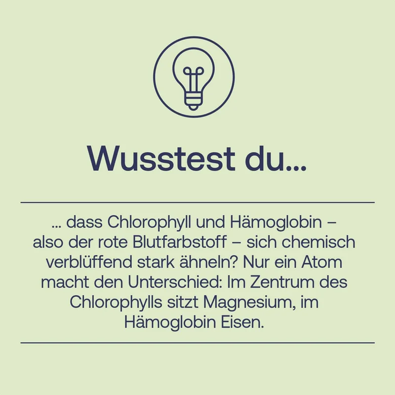 Chlorophyll Tropfen