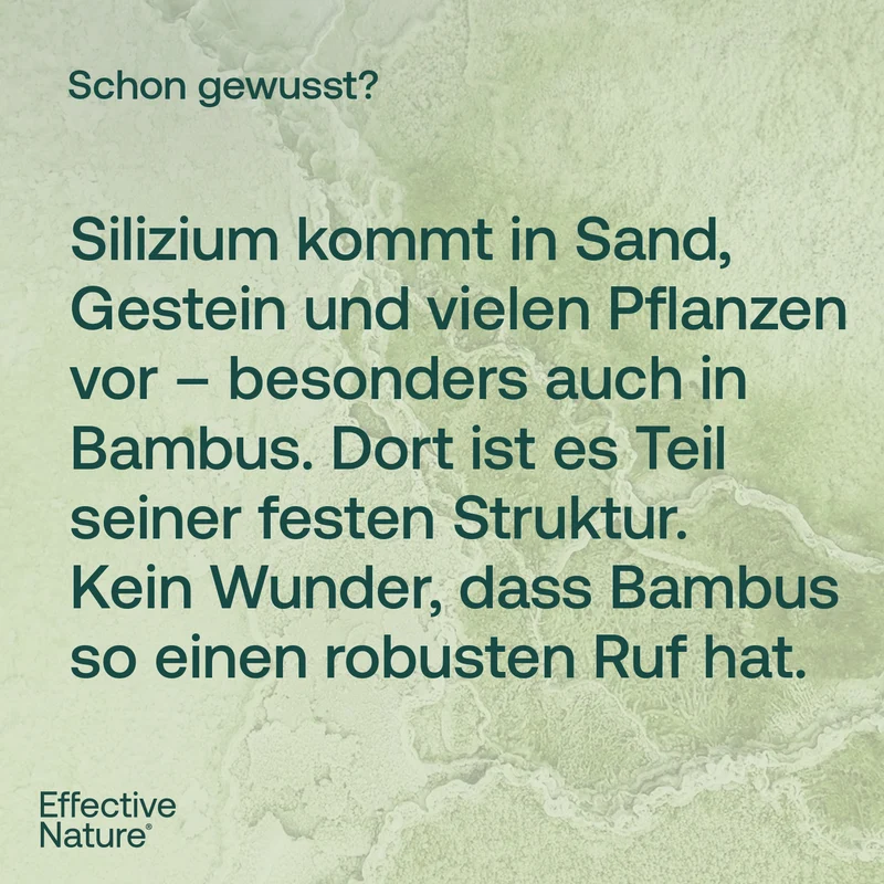 Organisches Silizium