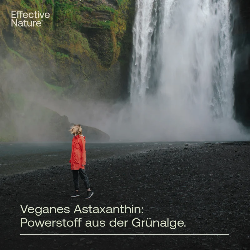 Veganes Astaxanthin
