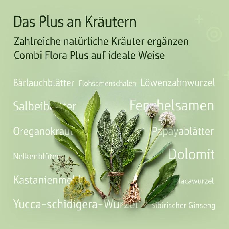 Combi Flora Plus 60 Kapseln