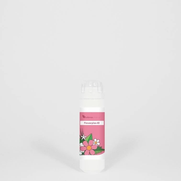 Balance Pharma Flowerplex 043 Intuitie 6 gram