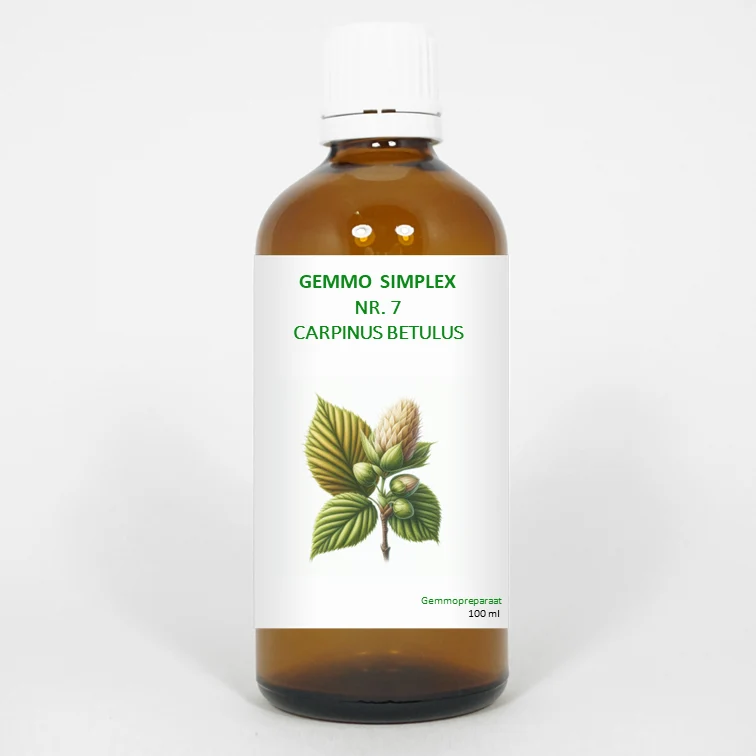 Balance Pharma Gemmo simplex 7 carpinus betulus 100 ml