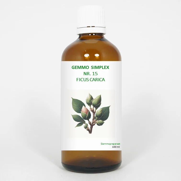 Balance Pharma Gemmo simplex 15 ficus carica 100 ml