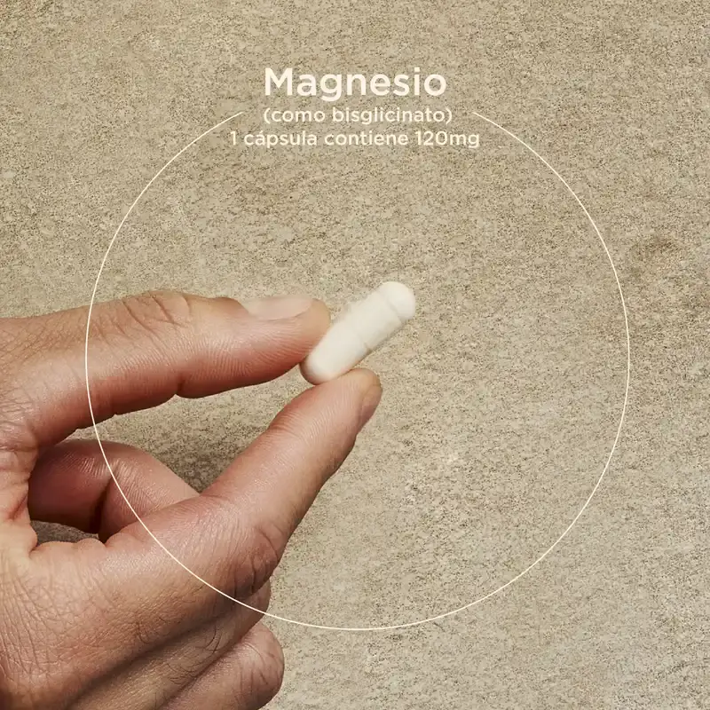 Solgar Magnesio Bisglicinato, 60 Cápsulas Vegetales