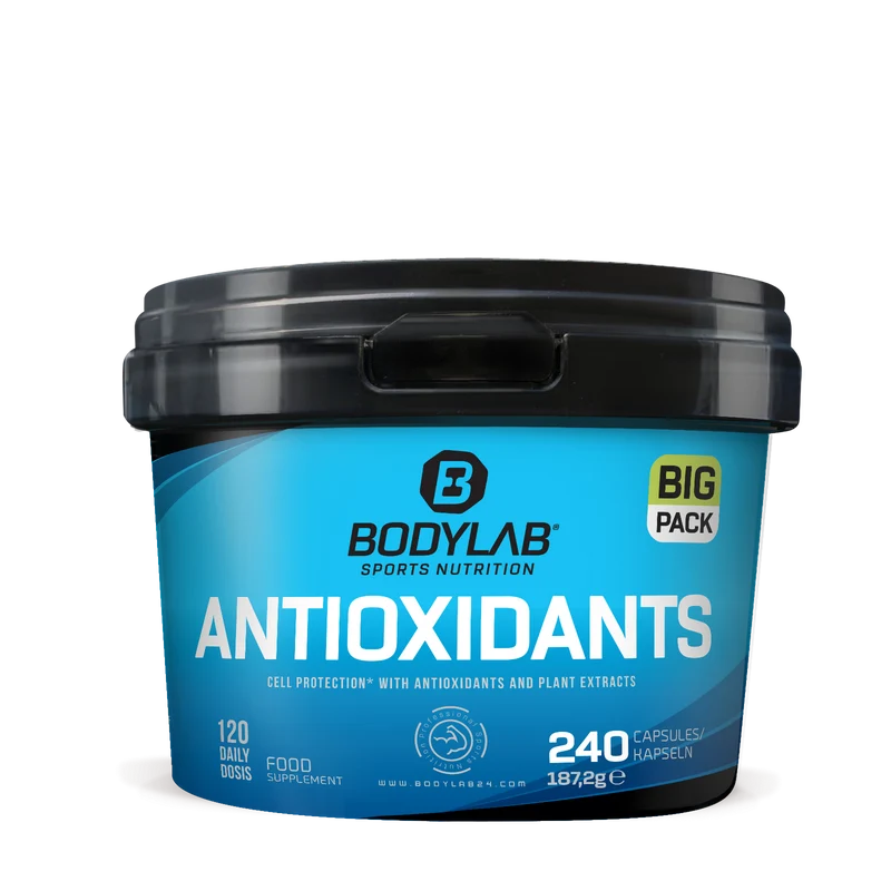 BIG Pack Antioxidants (240 capsules)