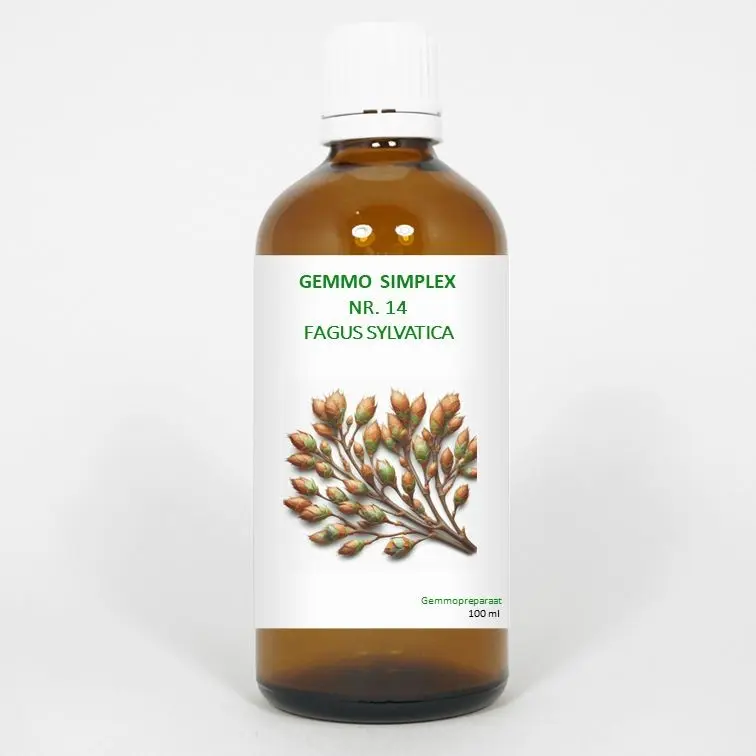 Balance Pharma Gemmo simplex 14 fagus sylvatica 100 ml