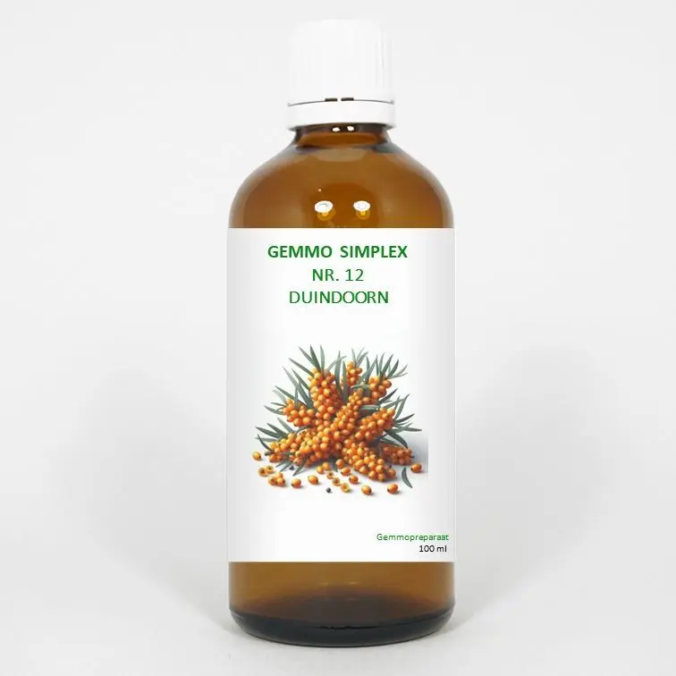 Balance Pharma Gemmo simplex 12 duindoorn 100 ml