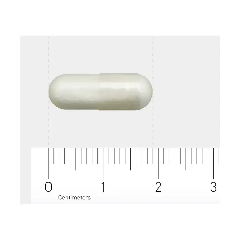 Orthica Nicotinamide 500 60 vcaps
