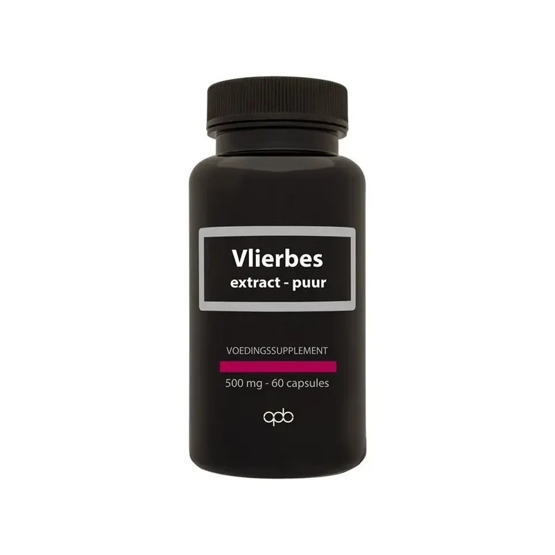 Apb Holland Vlierbes/sambucus nigra 500 mg puur 60 vcaps