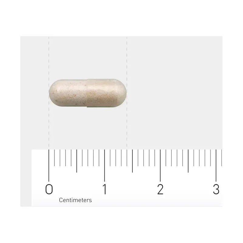 AOV 1201 Probiotica 4 miljard 60 vcaps