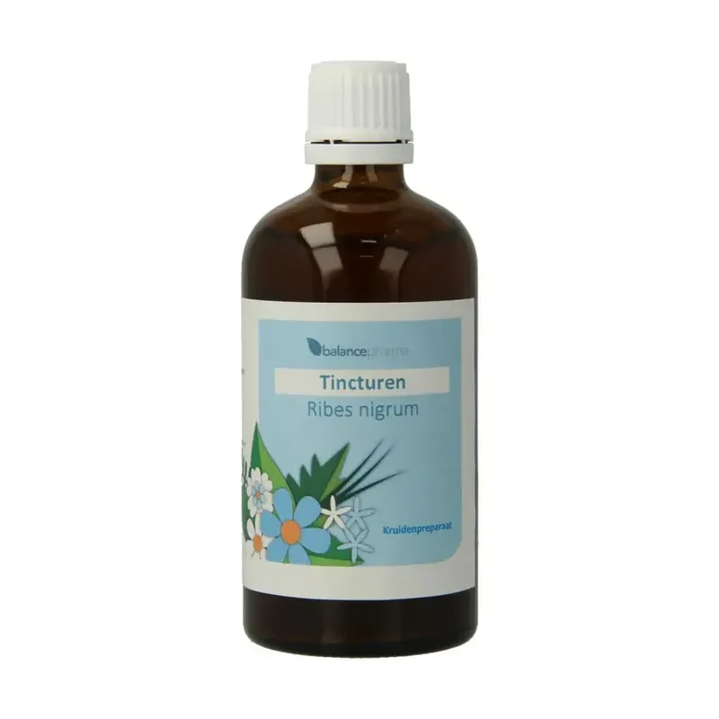 Balance Pharma Ribes nigrum tincturen 100 ml