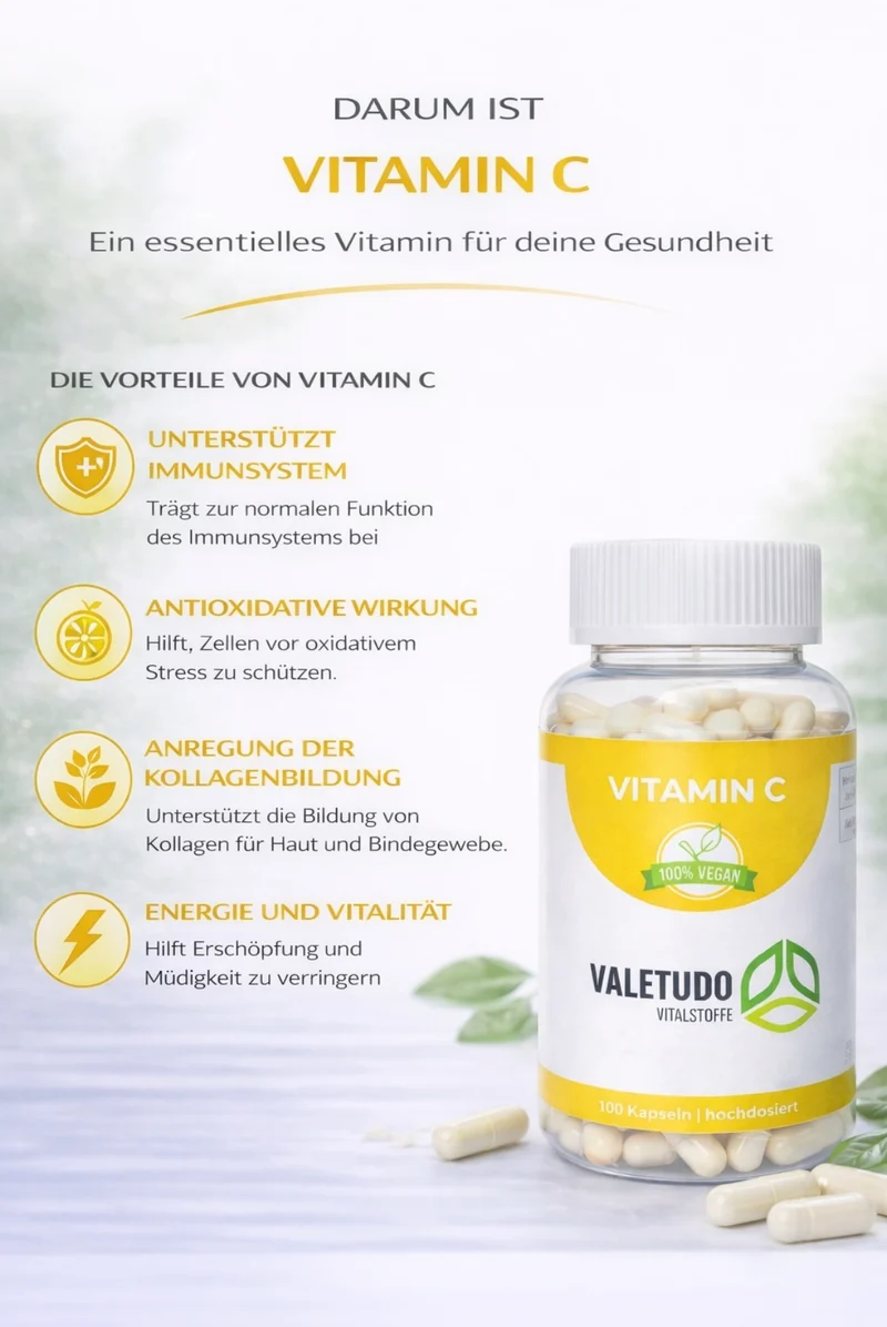 Vitamin C – Hochdosiert für Immunsystem & Zellschutz | 3-Monats-Packung
