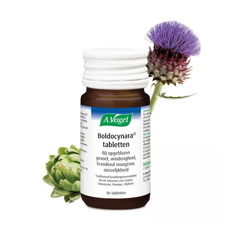 A Vogel Boldocynara 80 tabletten