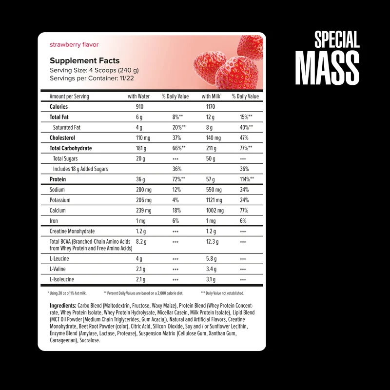 Special Mass
