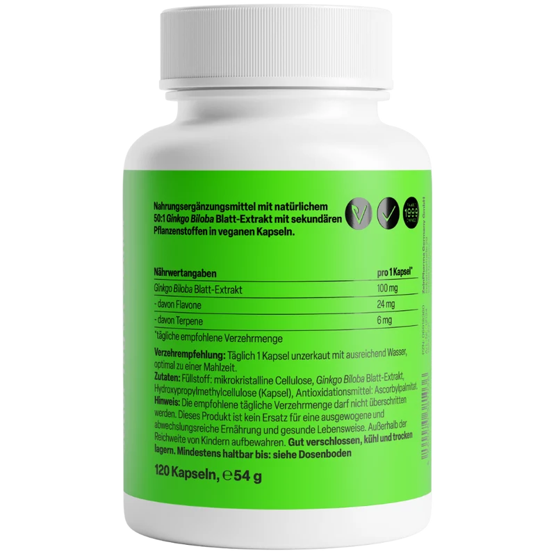 Ginkgo Biloba 100mg (120 capsules)