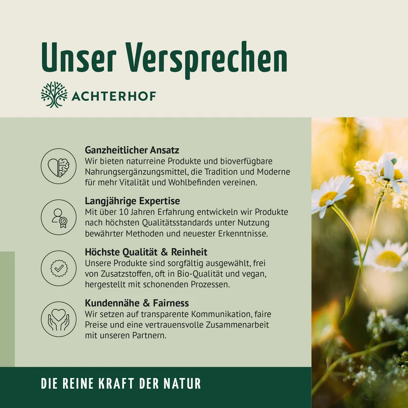 Vitamin B Komplex (150 Kapseln)