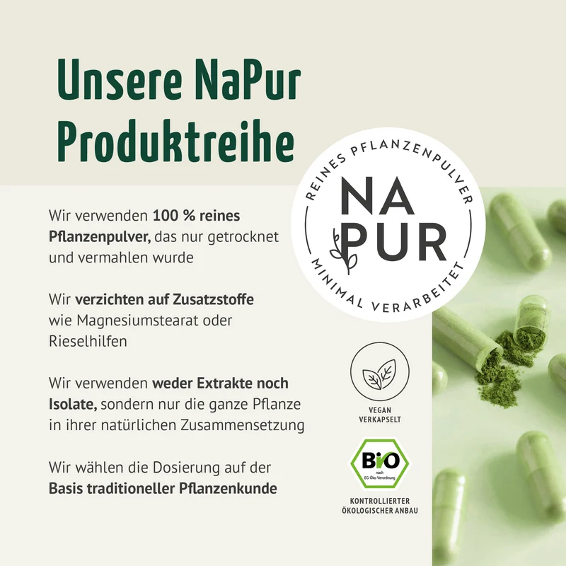 Brennnessel Kapseln Bio (160 Kapseln)