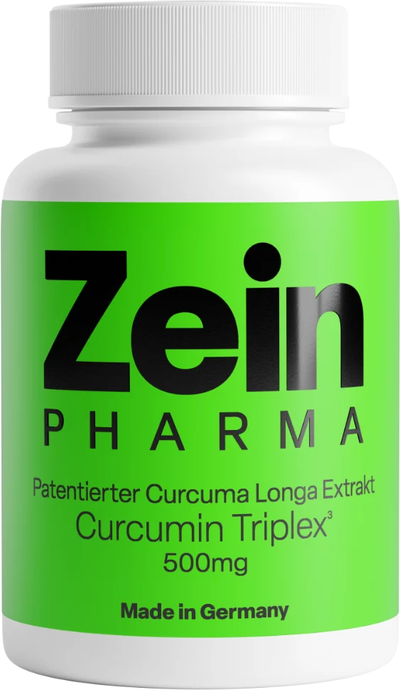 Curcumine-Triplex³ 500mg (90 capsules)