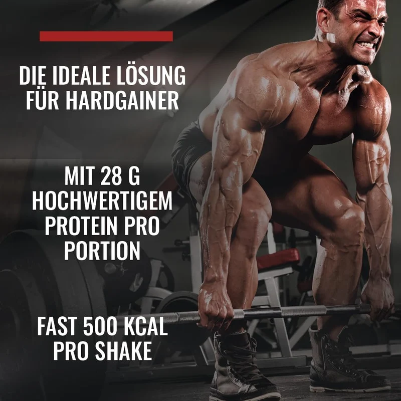 Mega Mass 4000 (7000g)