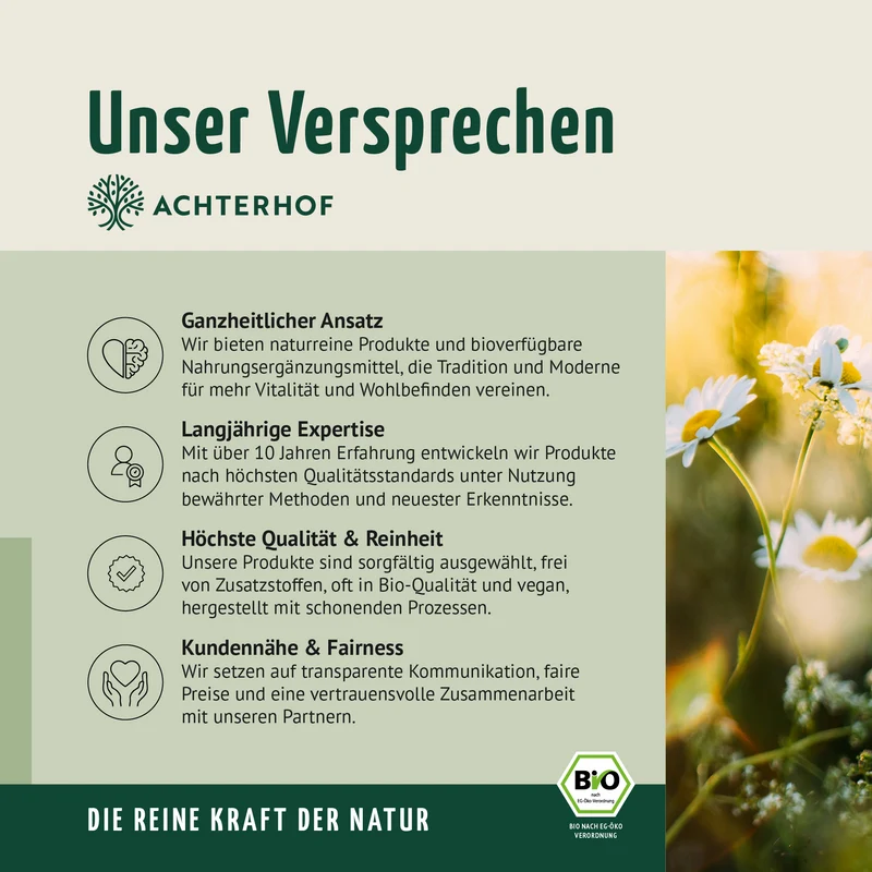 Löwenzahnwurzel Pulver Bio (500g)