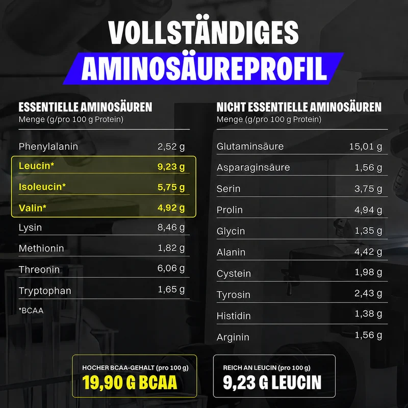 Whey Protein (1000g)